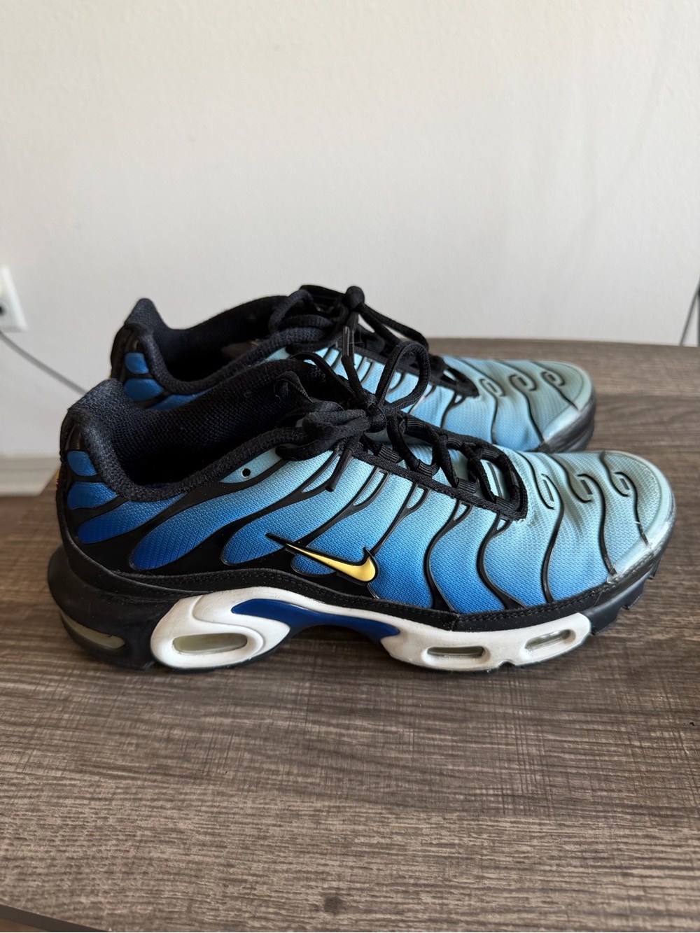 Nike Airmax Plus Blue Gradient Sneakers with Black Trim